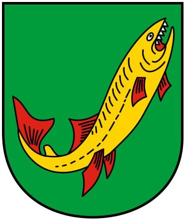 Новости Тихопрудинска